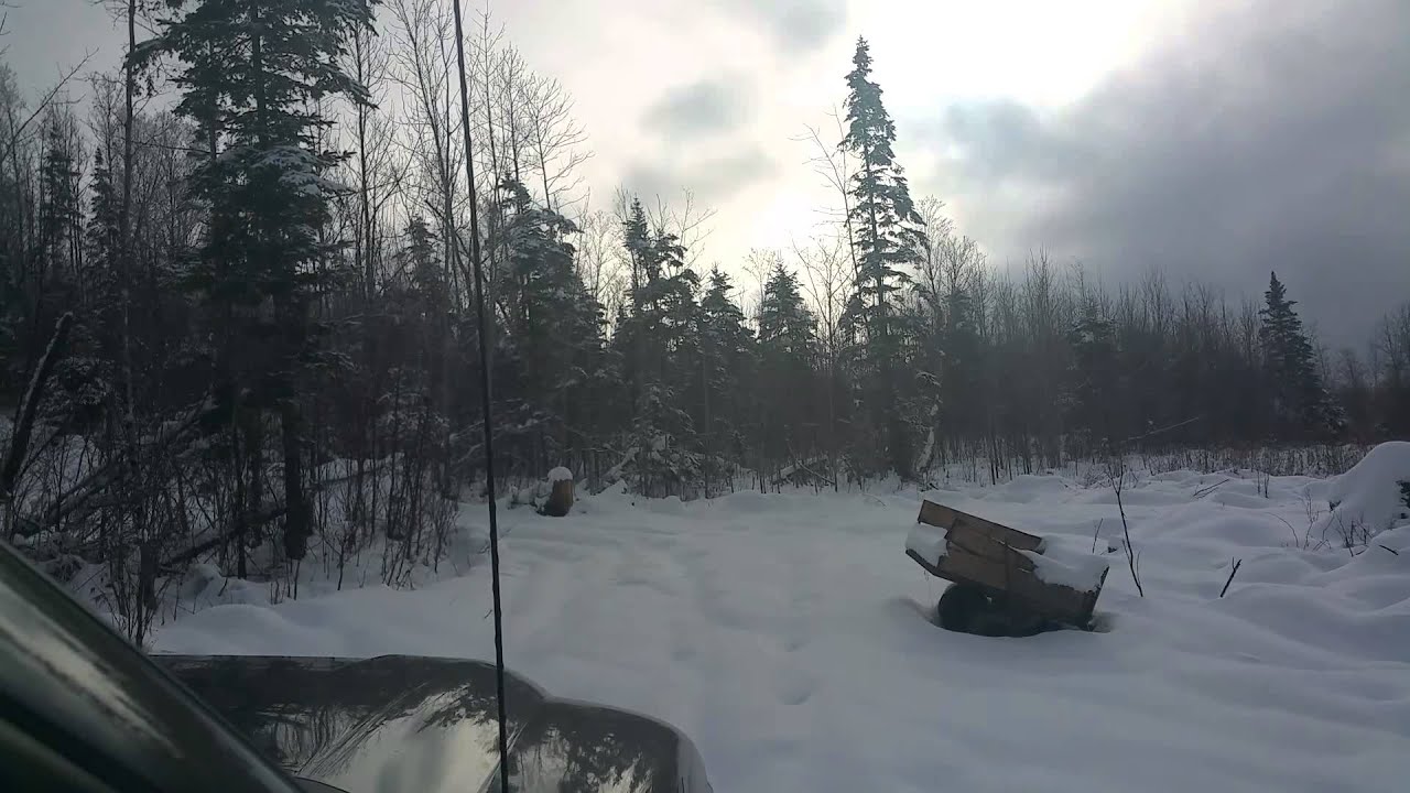 Off grid cabin - 4-low in the snow