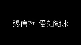 張信哲   愛如潮水 無損音樂FLAC 歌詞LYRICS 純享