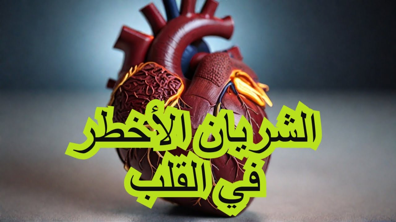 حكيم قلب | الشريان التاجي المدفون