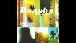 Bonobo - Dinosaurs