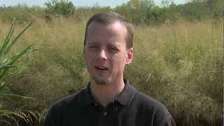 Famous Using Data to Understand Water Systems in Biomass Crops Profile