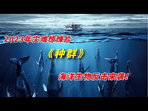 【阿奇】海洋生物展开疯狂报复，诡异手段防不胜防/2023年灾难惊悚片《种群 The Swarm》