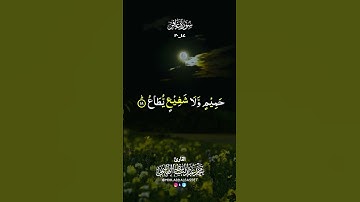 #سورة_غافر #تلاوات #قران_كريم #رمضان #quran #allah #القارئ #محمد #عبدالباسط #الهاشمي
