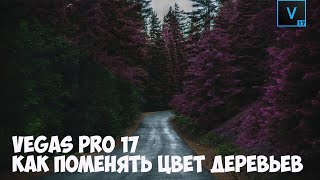 Vegas Pro 17 Как изменить цвет дерева в видео. Урок #10 Vegas Pro 17 Как изменить цвет дерева в видео. Урок #10