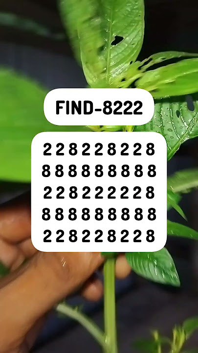 FIND-8222 #search #puzzle #shorts