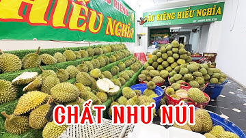 Sầu Riêng MUSANG KING Cơm vàng ngon quá đỉnh CHƯA ĐỦ VỊ nếu ăn Sầu Khô