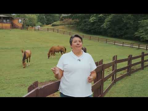 518 Buell Rd., Sneedville, TN home video tour