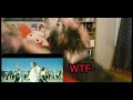 BTS (방탄소년단) 'ON' Kinetic Manifesto Film: Come Prima REACTION!!!