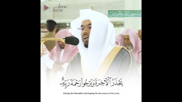 "أمن هو قانت آناء الليل ساجداً وقائماً" تلاوة خاشعة الشيخ د. ياسر الدوسري | Yasser Al-Dossary