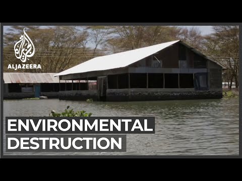Video: Om miljöförstöring betyder?
