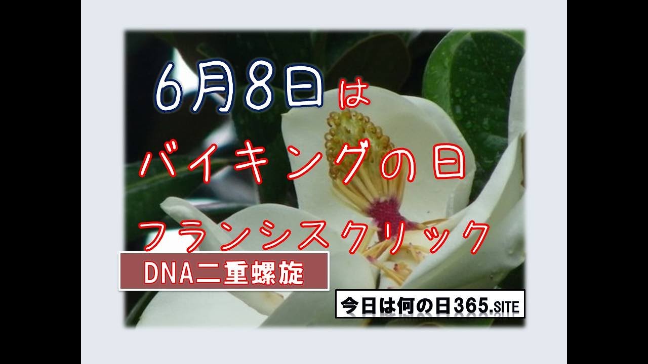 6月8日は バイキングの日 とフランシス クリックの誕生日 Youtube