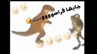 سلسلة جديدة (قصص مضحكة)