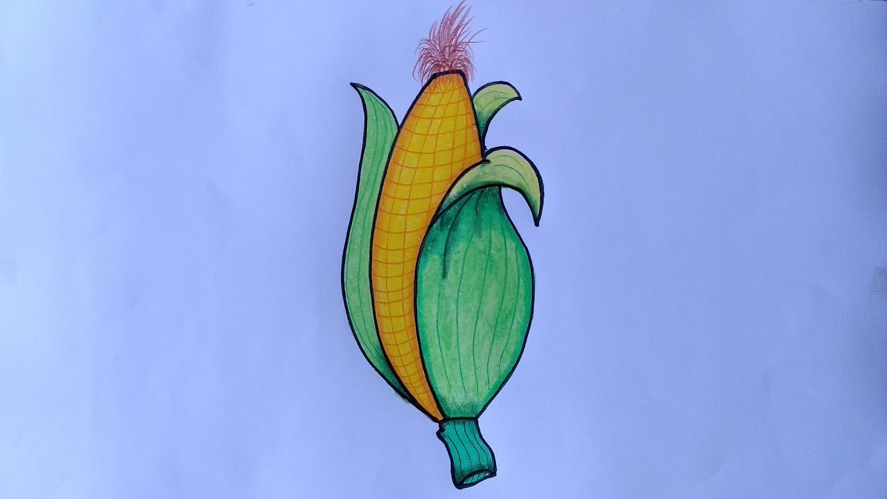  Menggambar  jagung  yang  mudah  Cara  menggambar  dan 