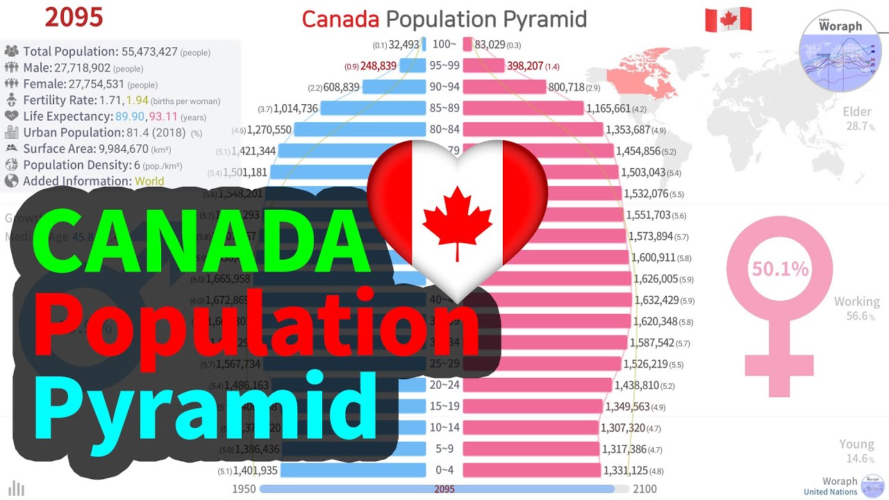Canada Population History & Projection by Pyramid UN (19502100