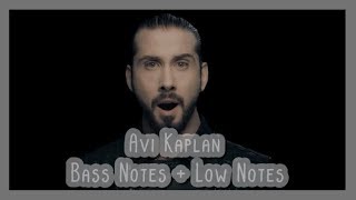 Avi Kaplan - Bass   Low Notes