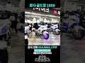 투어러 끝판왕! 골드윙 1800 세 대 한번에 소개해드리겠습니다!