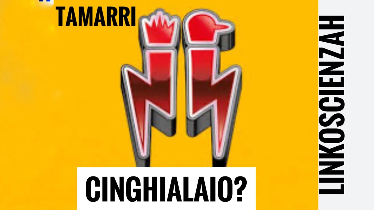 I Tamarri vogliono picchiarsi con un cinghiale 