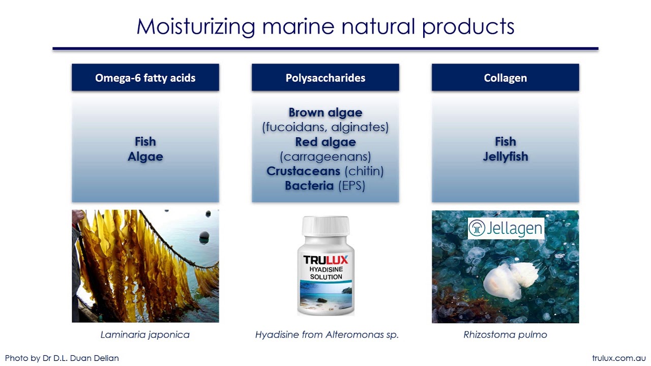 Marinederived cosmetics and cosmeceuticals YouTube