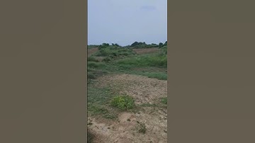 Gaon Mai ghum ke aaye Sukoon hai alag he #viral #shorts #reels #trending #gaon #farming #feeling