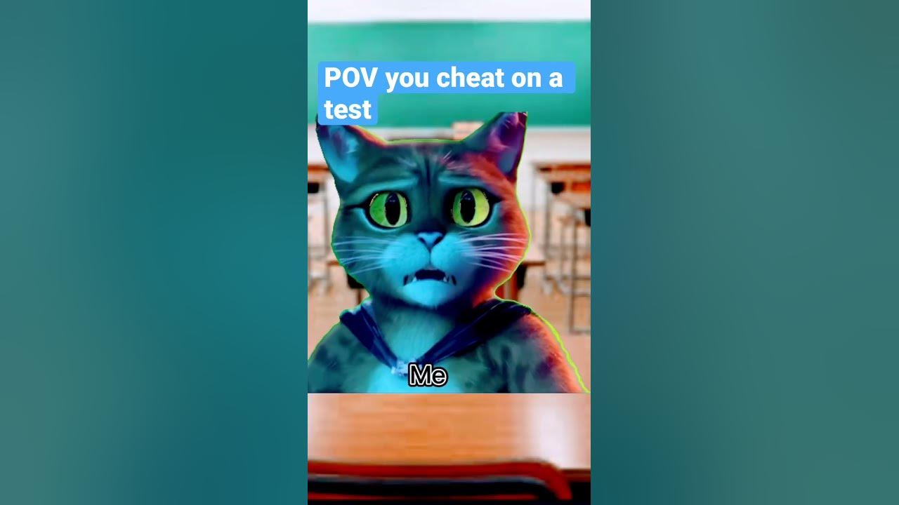 When You Cheat On A Test YouTube when-you-cheat-on-a-test-youtube