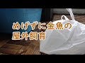めげずに金魚の屋外飼育