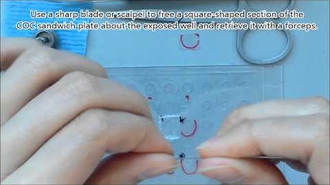 In meso in situ serial X-ray crystallography of soluble and membrane proteins. III.