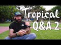 Tropical Q&amp;A - Antworten auf Eure Fragen Vol. 2 | Tutorial / How To | Vlog No. 049