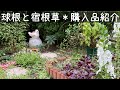 [ガーデニングvlog]購入苗ご紹介第２弾＊球根も買いました＊秋に植える宿根草/2021.10.19〜22撮影
