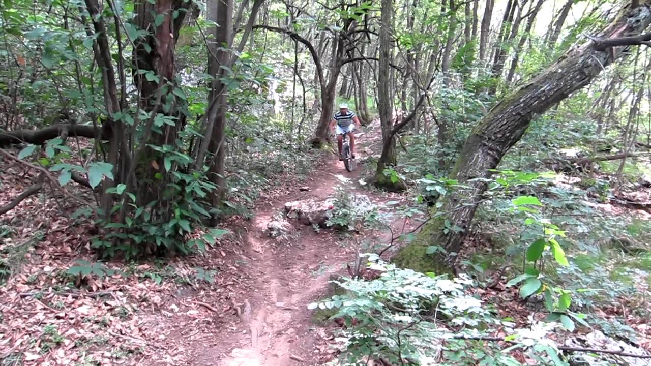 Mago G - His favourite Trail at Lake Garda