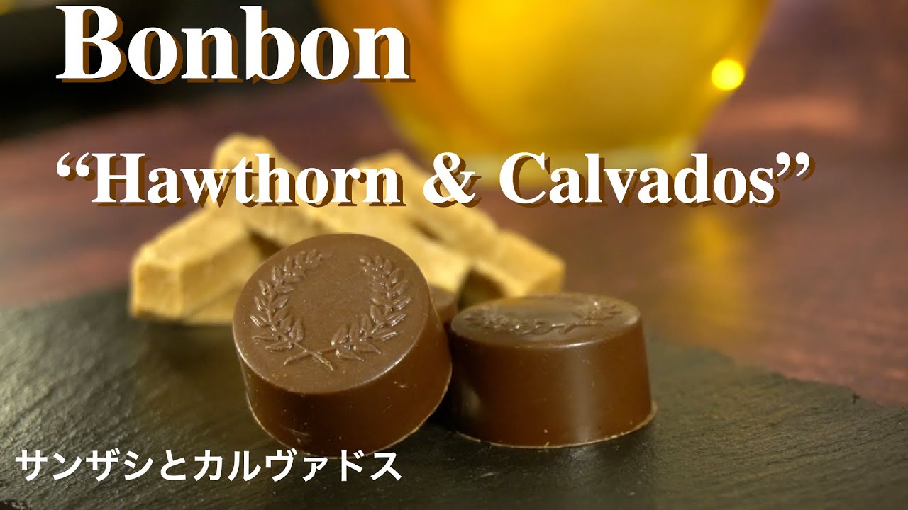 本日までサメフィン ボンボネロ bonbonero フィン h&o 本日までサメフィン ボンボネロ bonbonero フィン h&o