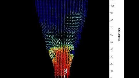 Oscillating Flow in a Diffuser