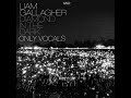 Liam Gallagher - Diamond In The Dark - [Only Vocals] live Knebworth Park 2022