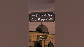 سورة المائدة الآية ٢٩ الى ٣١ بصوت الشيخ محمد صديق المنشاوي