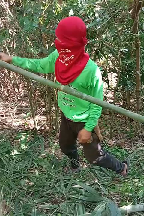 putol Ng boho
