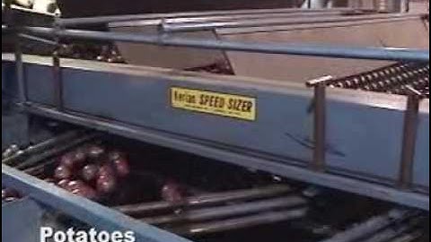Kerian Potato Grader | Kerian Potato Sizer, Sorting Potatoes by Size