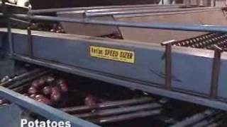 Kerian Potato Grader | Kerian Potato Sizer, Sorting Potatoes by Size