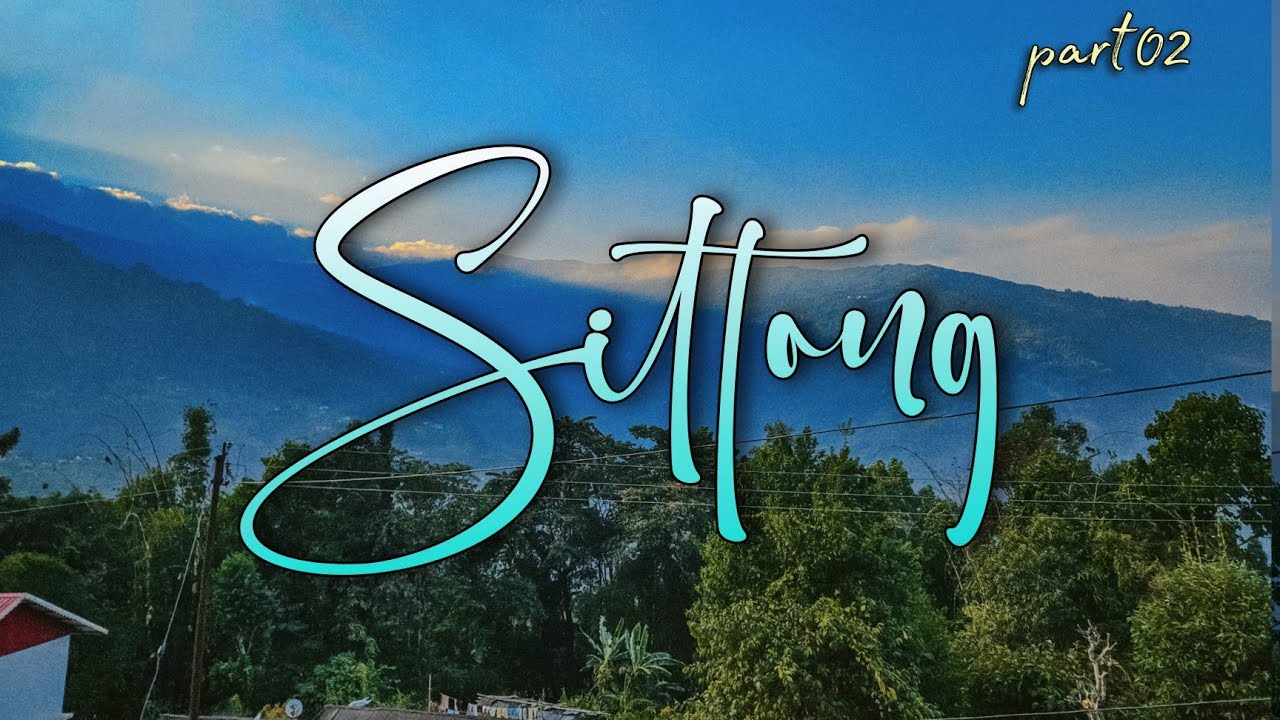 Fairy Tale Forests That Will Enchant You ll Sittong