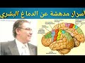 اسرار مدهشة عن الدماغ البشري مع الاستاذ ريتشارد عزوز اسرار مدهشة عن الدماغ البشري مع الاستاذ ريتشارد عزوز