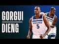 Gorgui Dieng's Best Plays From The 2018-19 NBA Season