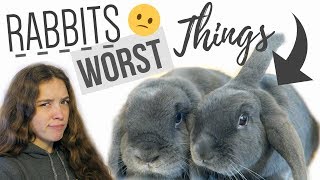 Worst Things About Owning Rabbits