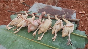 Bữa cơm đặc biệt trên nhà bác Khánh | Nhịp Sống Tây Bắc