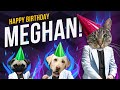 Happy Birthday Meghan - Its time to dance!