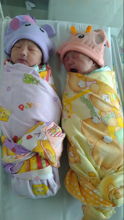 bayi kembar baru lahir, lucu sekali | anak kembar perempuan