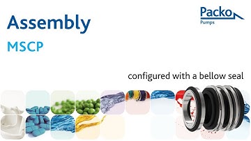 Assembly - Configured with a bellow seal: MSCP