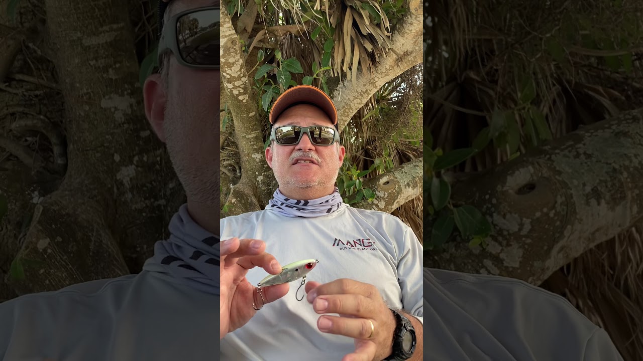 Inline Single Hooks to replace treble hooks on plugs!