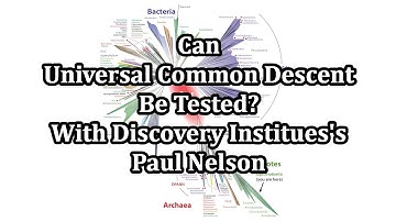 Can Universal Common Descent be Tested? with Paul Nelson of the Discovery Institute