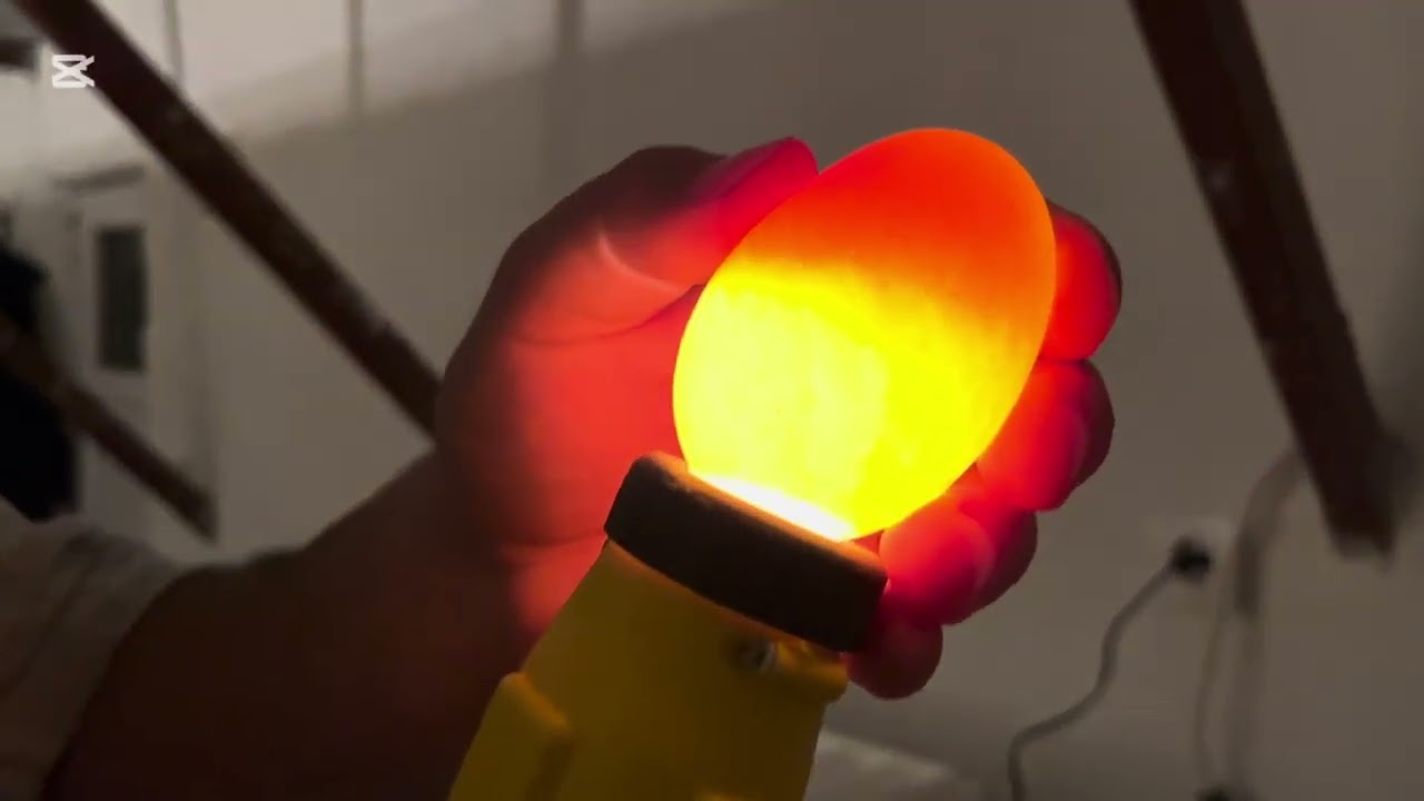 Kaz yumurtası döl kontrolü nasıl yapılır #kaz #mast #kaz yumurtası #yumurta #döl verimi#goose #ördek