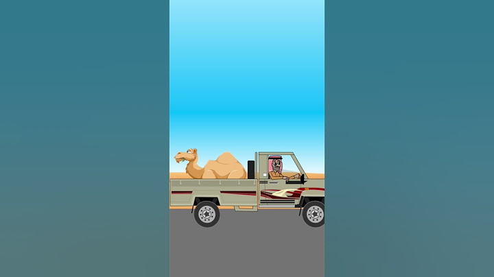 just Cruising 😎✌🏻 #السعودية #العراق #اليمن #سوريا #فلسطين #عرب #ضحك #كرتون #مصر #شاص #جمل