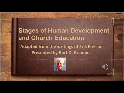 Stages of Human