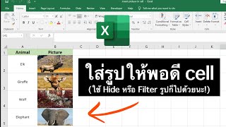 Excel ใส่รูปให้พอดีกับ cell